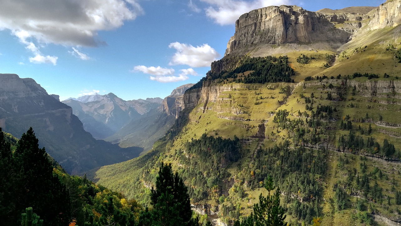 pyrenees